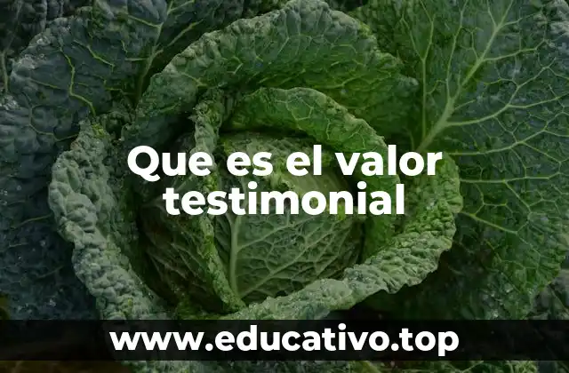 Que es el valor testimonial