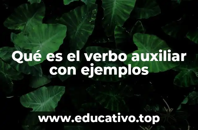 Qué es el verbo auxiliar con ejemplos