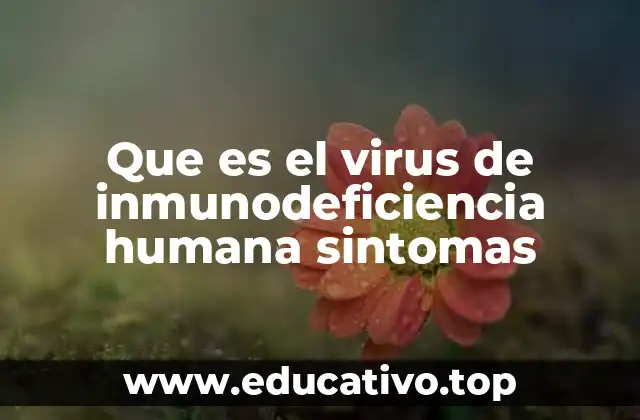 Cómo el VIH afecta el cuerpo sin manifestar síntomas inmediatos