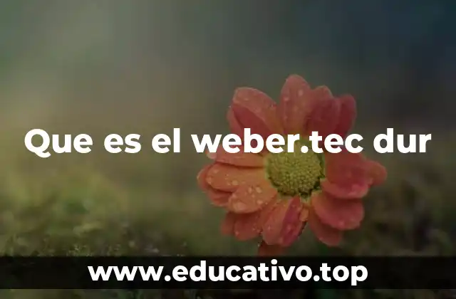 Que es el weber.tec dur