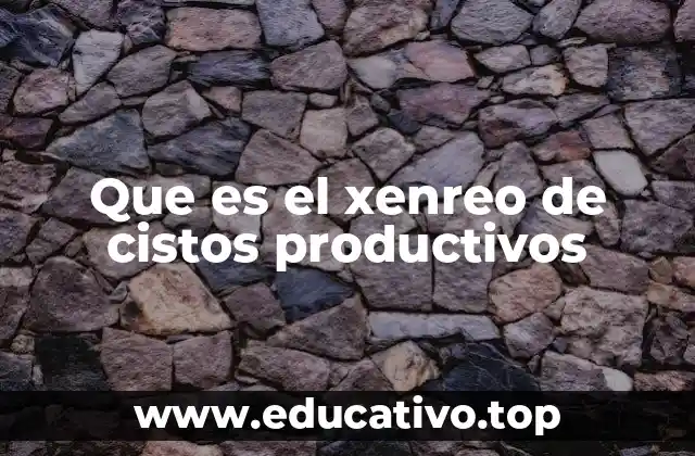 Que es el xenreo de cistos productivos