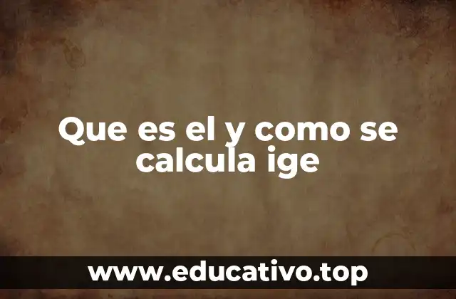 Que es el y como se calcula ige
