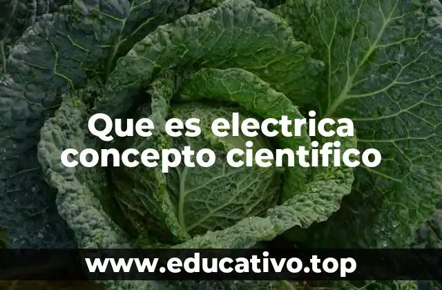 Que es electrica concepto cientifico
