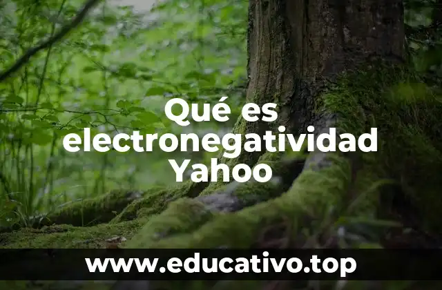 Qué es electronegatividad Yahoo