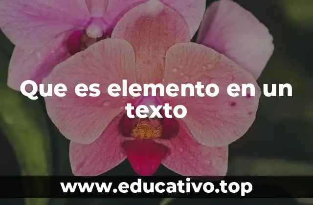 Que es elemento en un texto