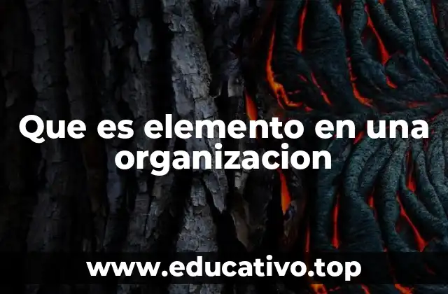 Que es elemento en una organizacion