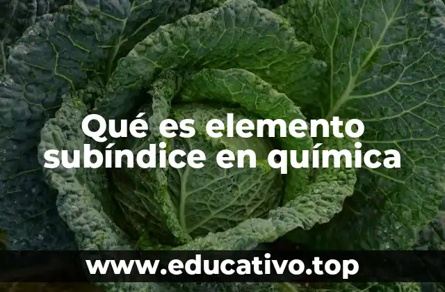 Qué es elemento subíndice en química