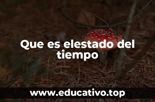 Que es elestado del tiempo