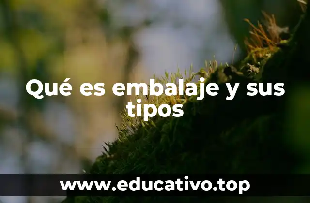 Qué es embalaje y sus tipos