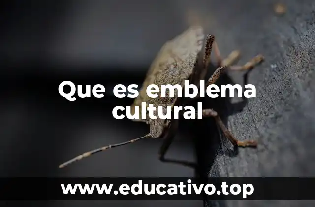 La importancia de los símbolos en la identidad cultural