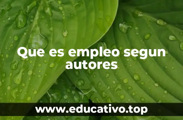 Que es empleo segun autores
