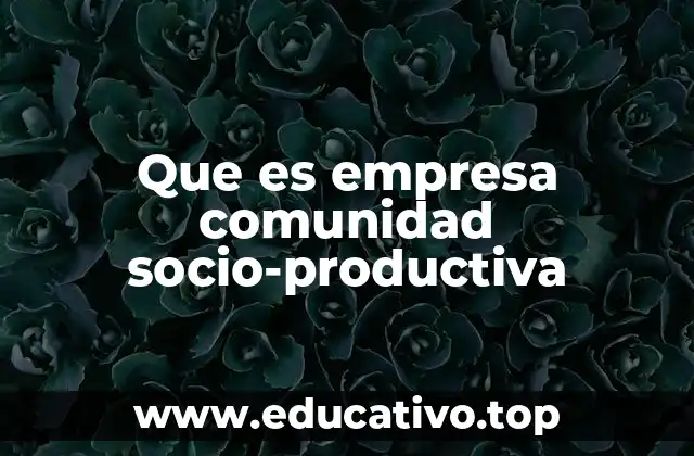 Que es empresa comunidad socio-productiva