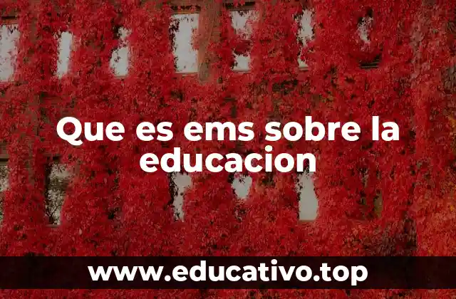 Que es ems sobre la educacion