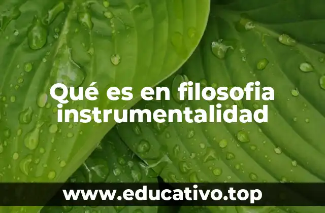 Qué es en filosofia instrumentalidad
