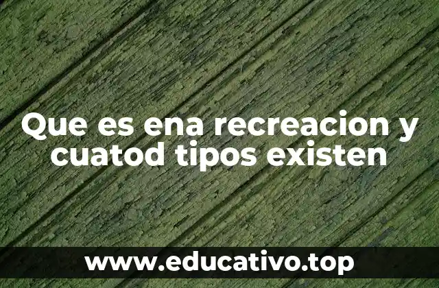 Que es ena recreacion y cuatod tipos existen