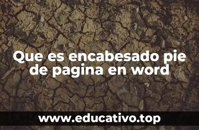 Que es encabesado pie de pagina en word