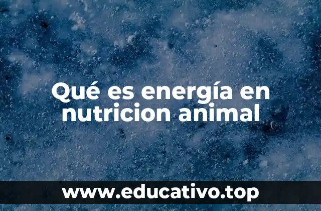 La energía como eje central de la nutrición animal
