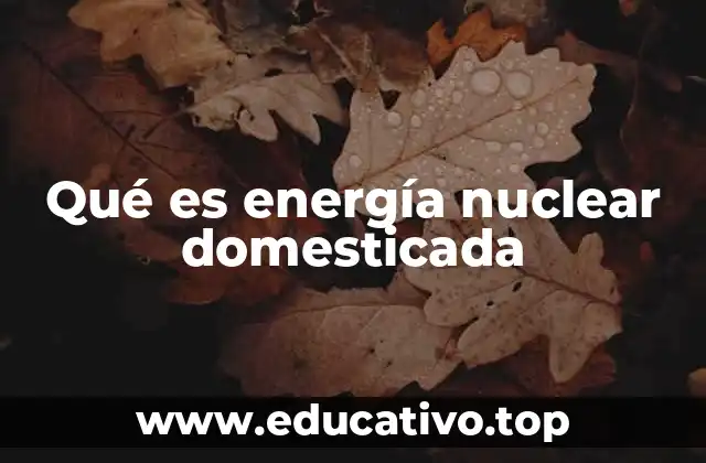 Qué es energía nuclear domesticada