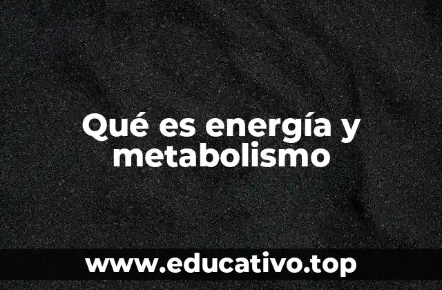 La relación entre energía y los procesos biológicos