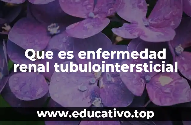 Que es enfermedad renal tubulointersticial