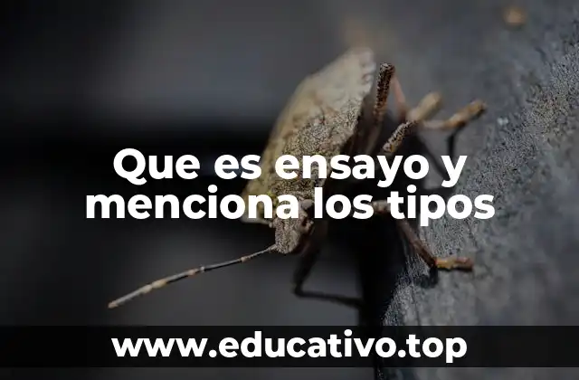 Que es ensayo y menciona los tipos