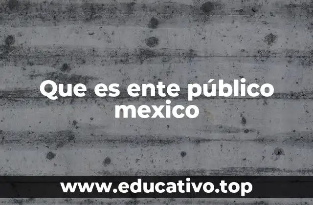 Que es ente público mexico