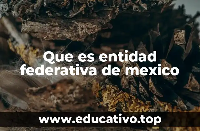 La importancia de las entidades federativas en la organización territorial de México