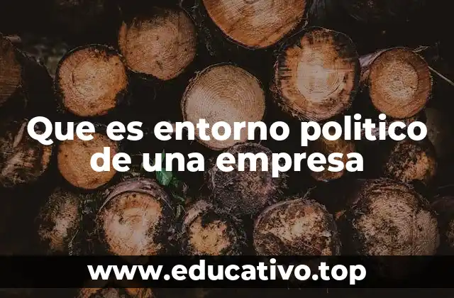 Que es entorno politico de una empresa