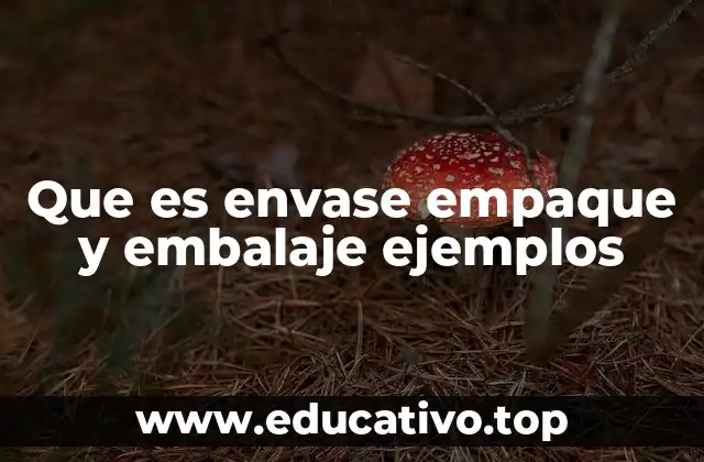 Que es envase empaque y embalaje ejemplos