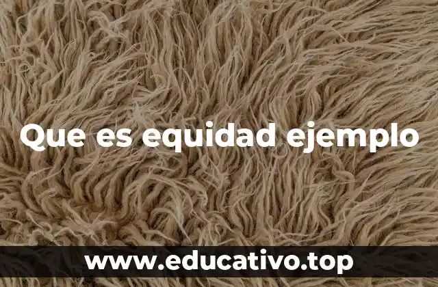 La importancia de comprender el concepto de equidad