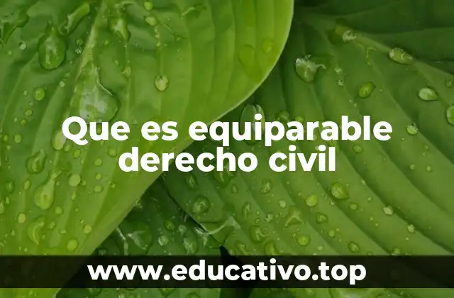 Que es equiparable derecho civil