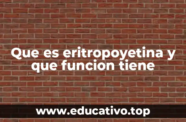 Que es eritropoyetina y que funcion tiene