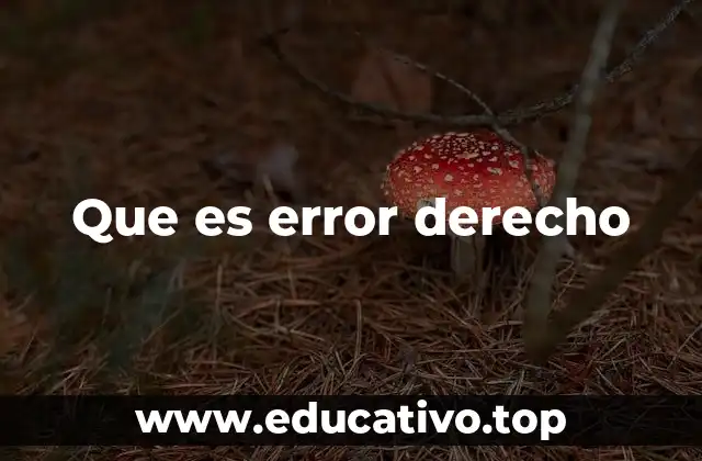 Que es error derecho