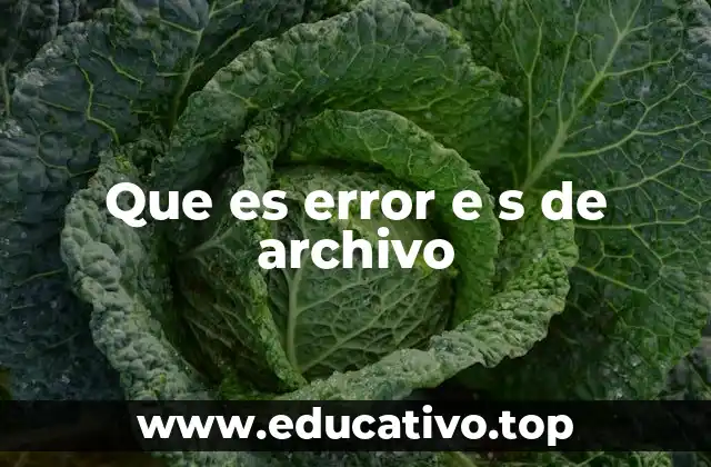 Que es error e s de archivo