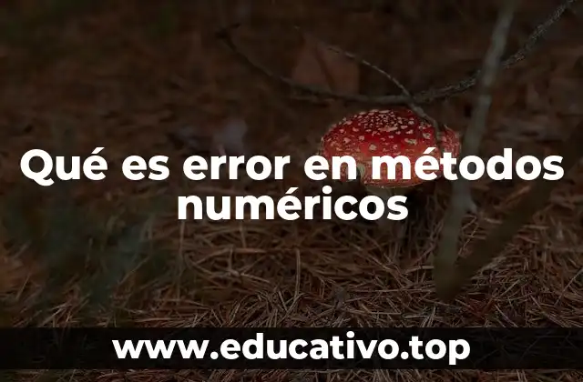 Qué es error en métodos numéricos