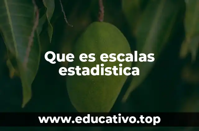 Que es escalas estadistica