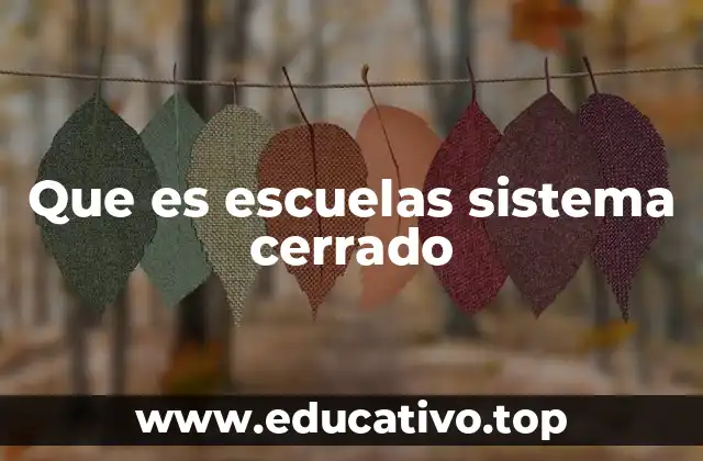 El modelo educativo de las escuelas autónomas