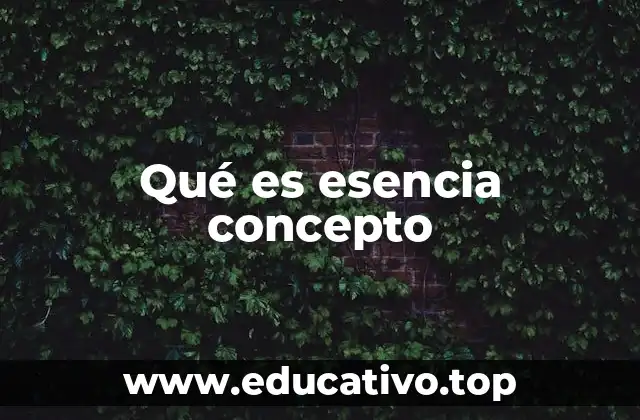 Qué es esencia concepto