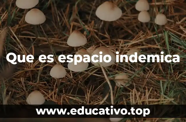 Que es espacio indemica