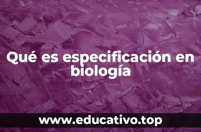 Qué es especificación en biología