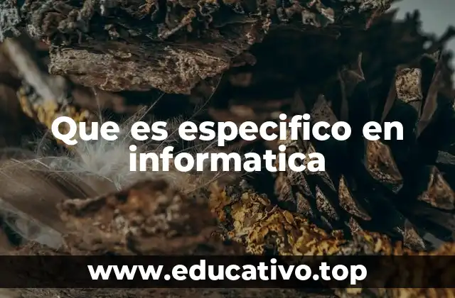Que es especifico en informatica