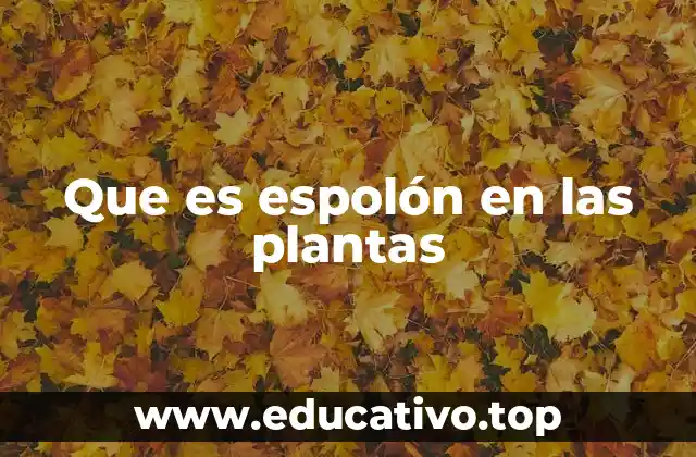 Que es espolón en las plantas