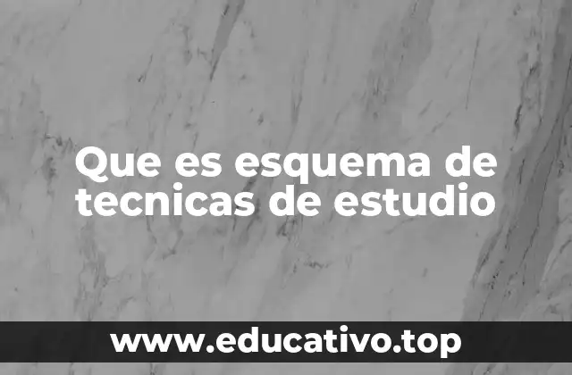 La importancia de organizar el proceso de estudio