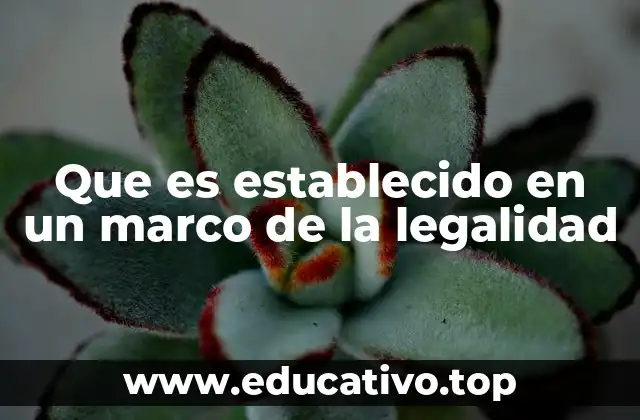 Que es establecido en un marco de la legalidad
