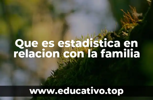 Que es estadistica en relacion con la familia