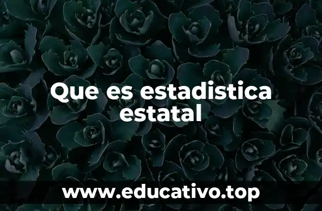 Que es estadistica estatal