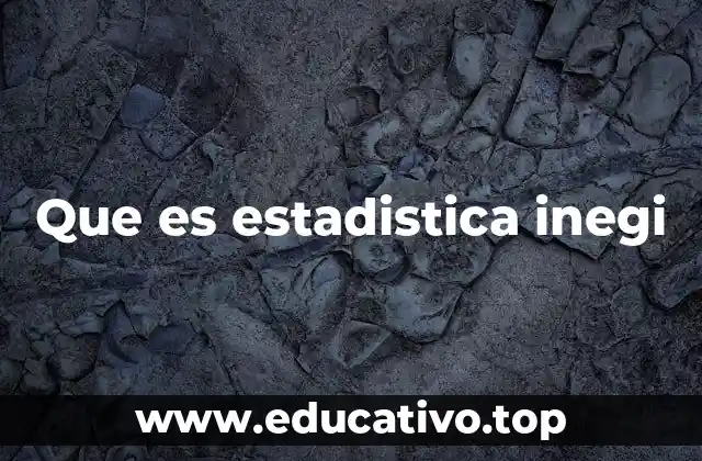 Que es estadistica inegi