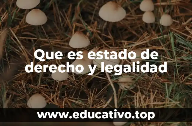 Que es estado de derecho y legalidad