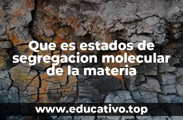 La importancia de los estados de segregación en la ciencia moderna