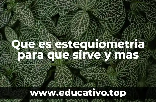 Que es estequiometria para que sirve y mas